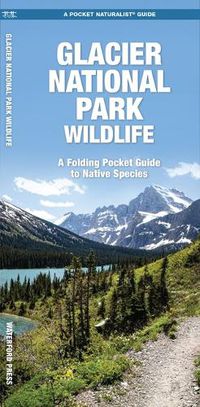 Cover image for Glacier National Park Wildlife