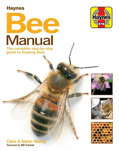 Cover image for Bee Manual: The complete step-by-step guide to keeping bees