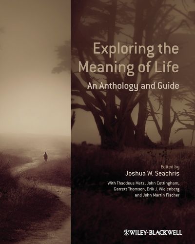 Cover image for Exploring the Meaning of Life: An Anthology and Guide