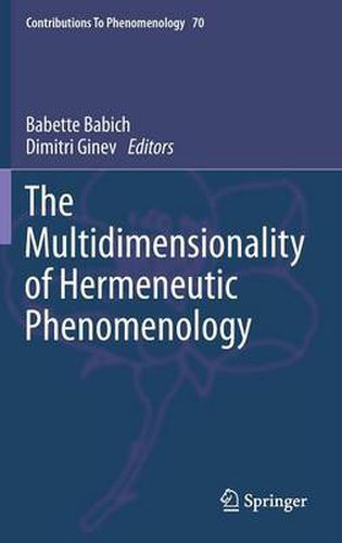 The Multidimensionality of Hermeneutic Phenomenology