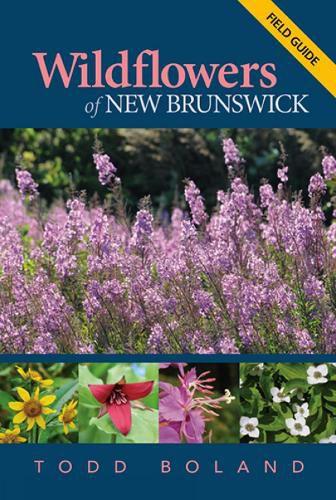 Cover image for Wildflowers of New Brunswick: Field Guide