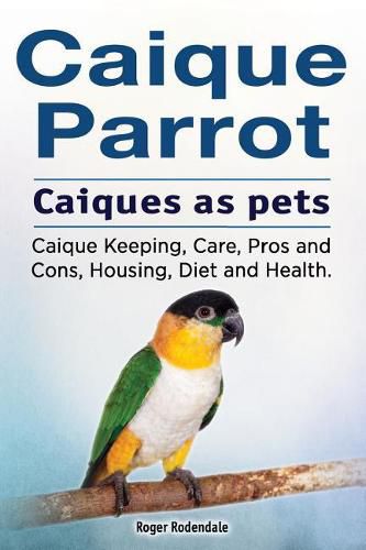 Caique parrot. Caiques as pets. Caique Keeping, Care, Pros and Cons, Housing, Diet and Health.