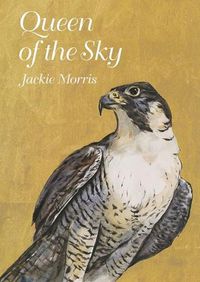 Cover image for Queen of the Sky
