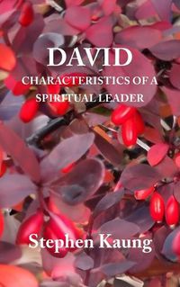 Cover image for David