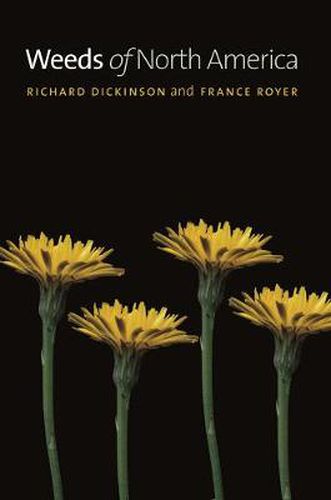 Cover image for Weeds of North America