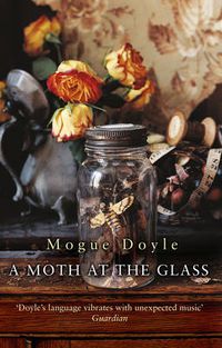 Cover image for A Moth at the Glass