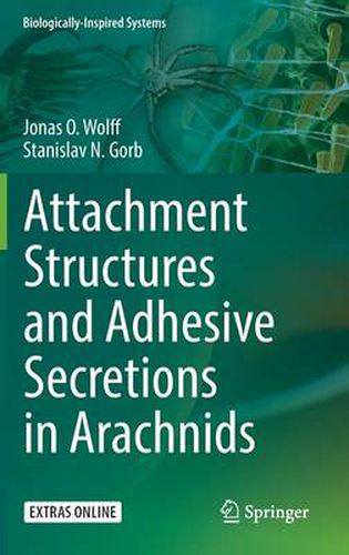 Cover image for Attachment Structures and Adhesive Secretions in Arachnids