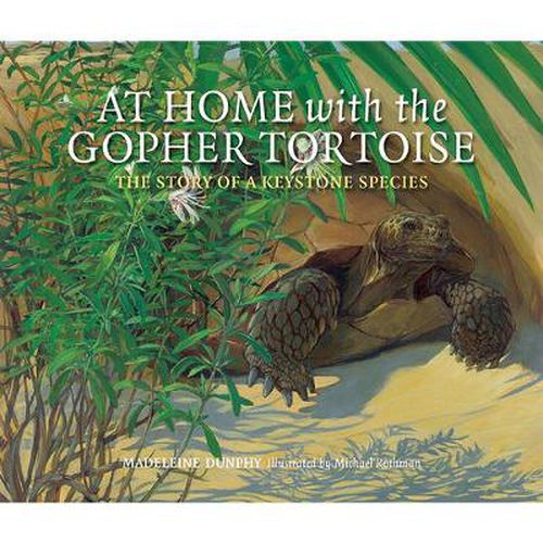 At Home with the Gopher Tortoise: The Story of a Keystone Species