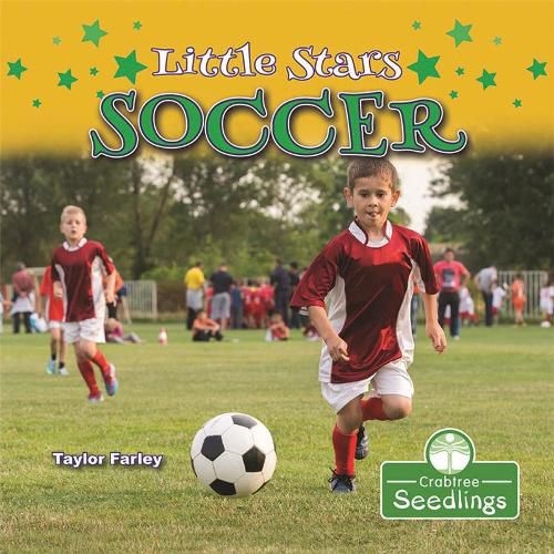 Little Stars Soccer