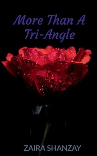 Cover image for More Than A Tri-angle