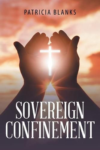 Cover image for Sovereign Confinement