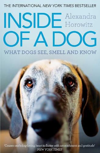 Cover image for Inside of a Dog: What Dogs See, Smell, and Know