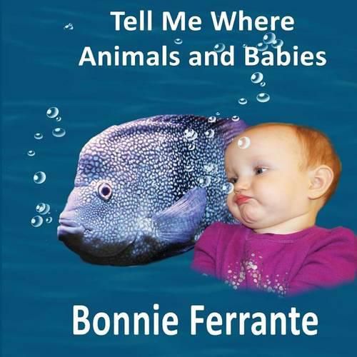 Cover image for Tell Me Where: Animals and Babies