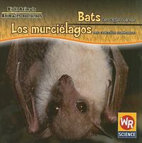 Cover image for Bats Are Night Animals / Los Murcielagos Son Animales Nocturnos