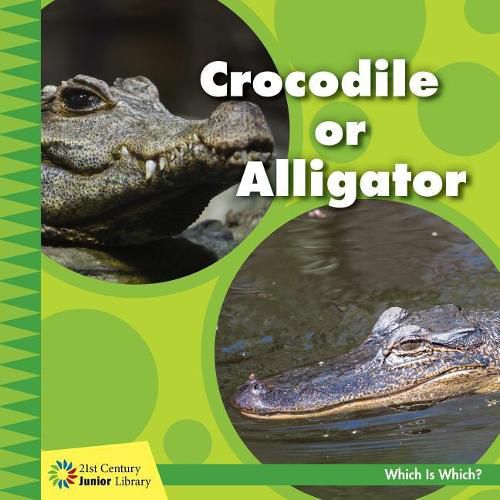 Cover image for Crocodile or Alligator