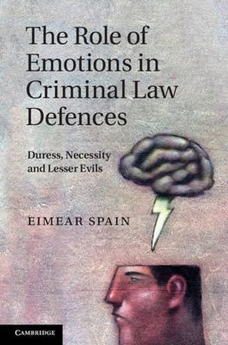 Cover image for The Role of Emotions in Criminal Law Defences: Duress, Necessity and Lesser Evils