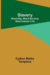 Cover image for Slavery