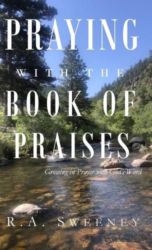 Cover image for Praying with the Books of Praises