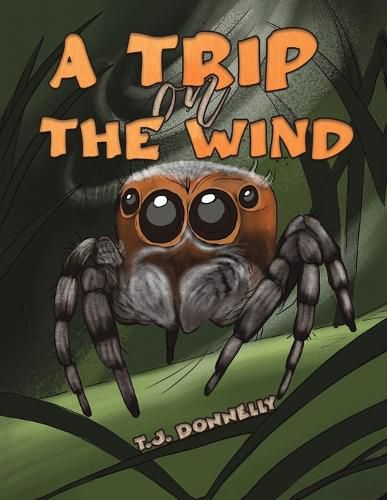 Cover image for A Trip on the Wind