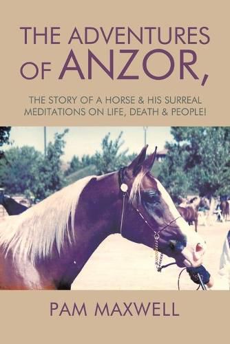 Cover image for The Adventures of Anzor: the story of a horse & his surreal meditations on life, death & people!