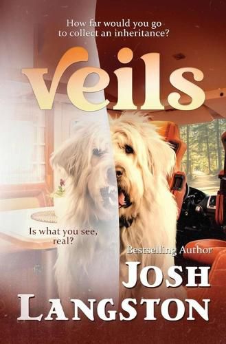 Cover image for Veils