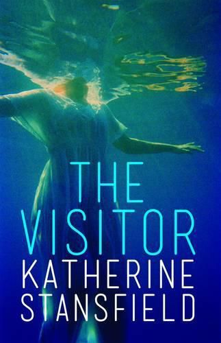 Cover image for The Visitor