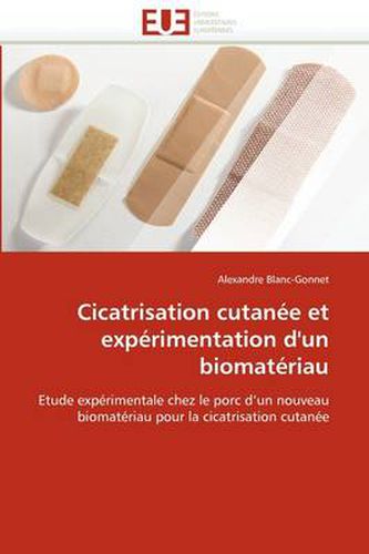 Cover image for Cicatrisation Cutan E Et Exp Rimentation D'Un Biomat Riau