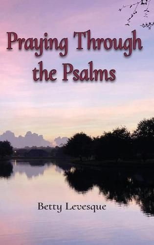 Cover image for Praying Through the Psalms