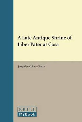 Cover image for A Late Antique Shrine of Liber Pater at Cosa