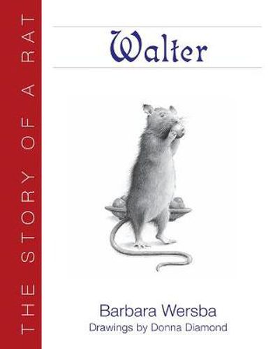 Cover image for Walter: The Story of a Rat