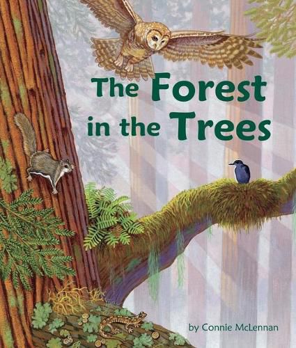 Cover image for The Forest in the Trees