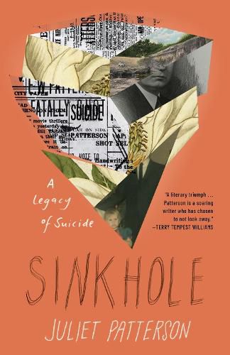 Cover image for Sinkhole: A Natural History of a Suicide: A Natural History of a Suicide