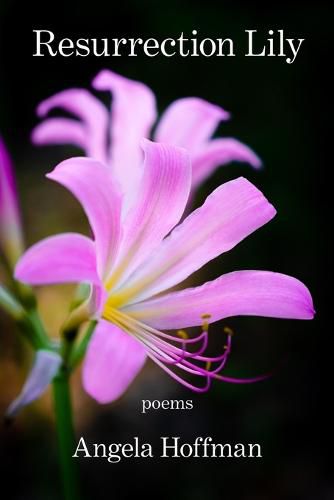 Cover image for Resurrection Lily