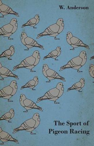 Cover image for The Sport Of Pigeon Racing