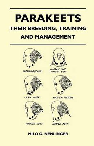 Cover image for Parakeets - Their Breeding, Training and Management