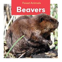 Cover image for Beavers