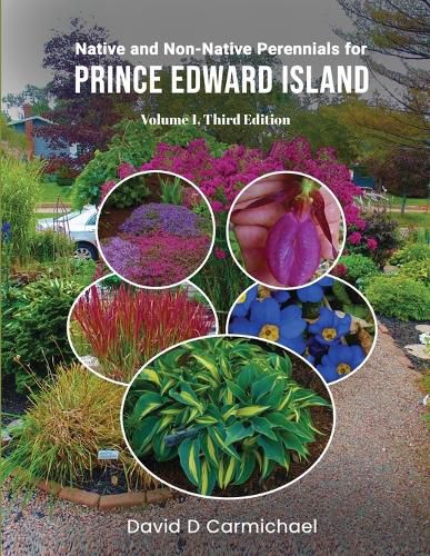 Cover image for Native and Non-Native Perennials for Prince Edward Island