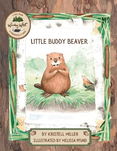 Cover image for Little Buddy Beaver