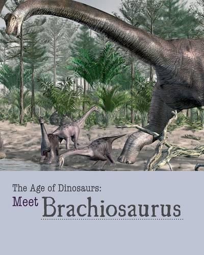 Cover image for Meet Brachiosaurus