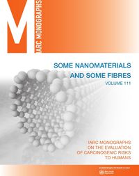 Cover image for Some nanomaterials and some fibres