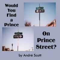 Cover image for Would You Find a Prince on Prince Street?