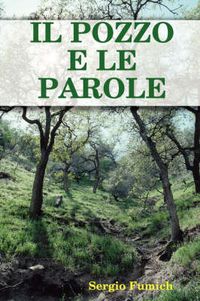 Cover image for IL Pozzo E Le Parole