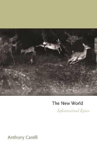 Cover image for The New World: Infinitesimal Epics