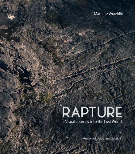 Cover image for Rapture