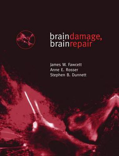 Cover image for Brain Damage, Brain Repair