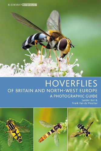 Cover image for Hoverflies of Britain and North-west Europe