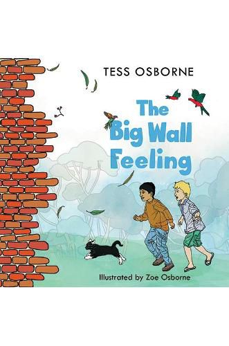 Cover image for The Big Wall Feeling