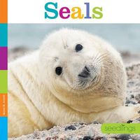 Cover image for Seals