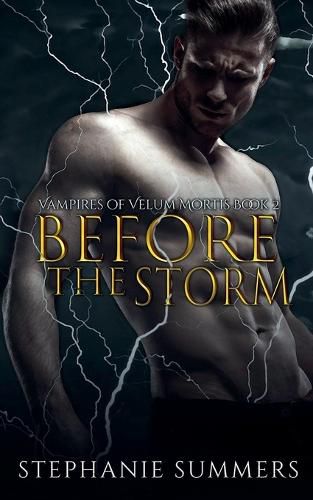 Cover image for Before the Storm