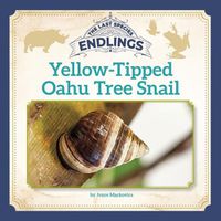 Cover image for Yellow-Tipped Oahu Tree Snail